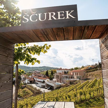 Posestvo Scurek Wine Acomodação com café da manhã Dobrovo Exterior foto