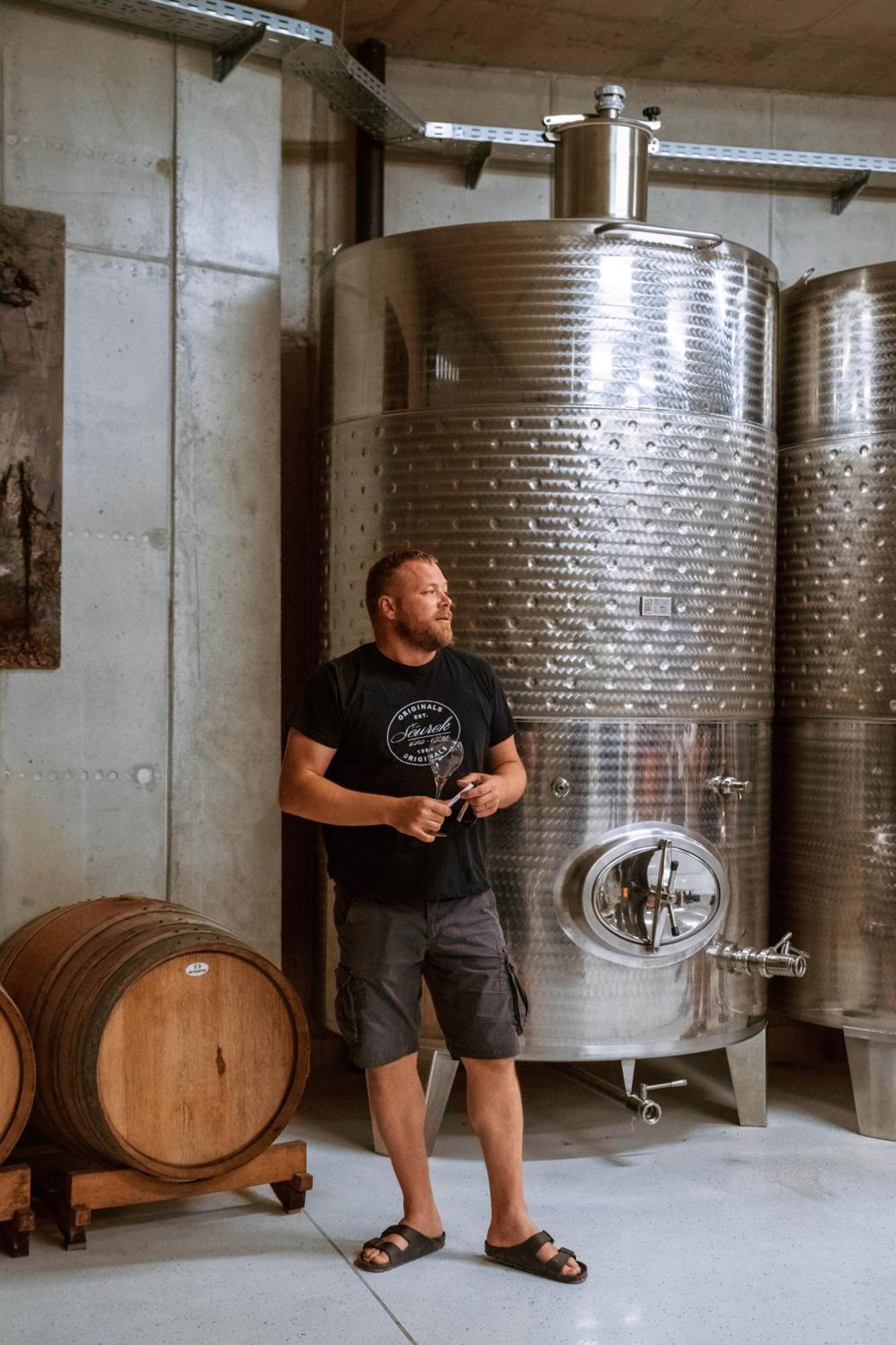 Posestvo Scurek Wine Acomodação com café da manhã Dobrovo Exterior foto