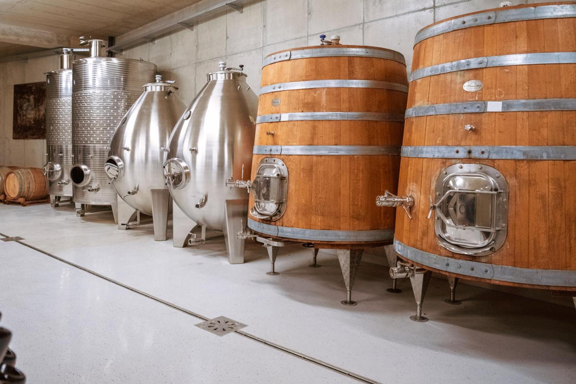 Posestvo Scurek Wine Acomodação com café da manhã Dobrovo Exterior foto