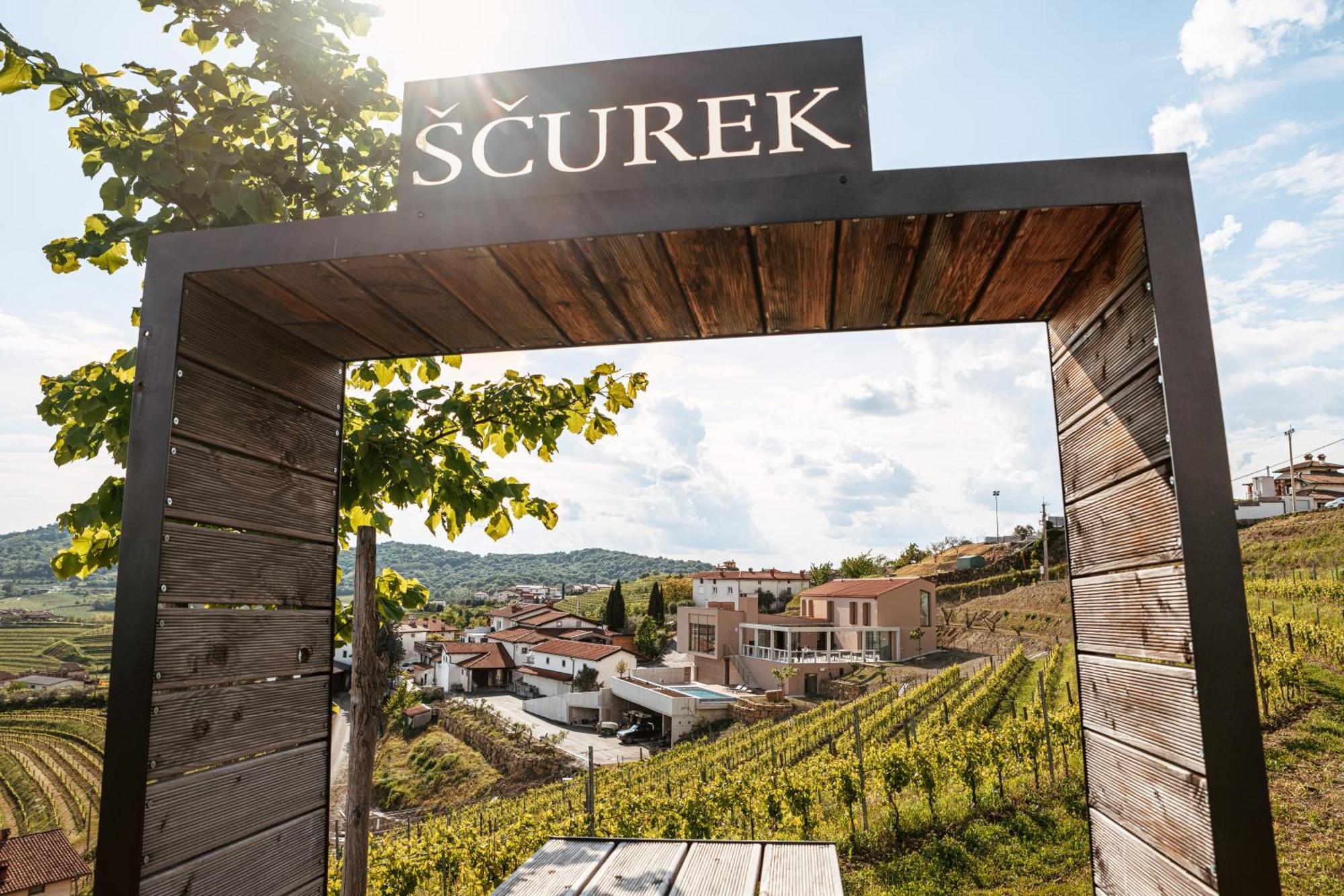 Posestvo Scurek Wine Acomodação com café da manhã Dobrovo Exterior foto