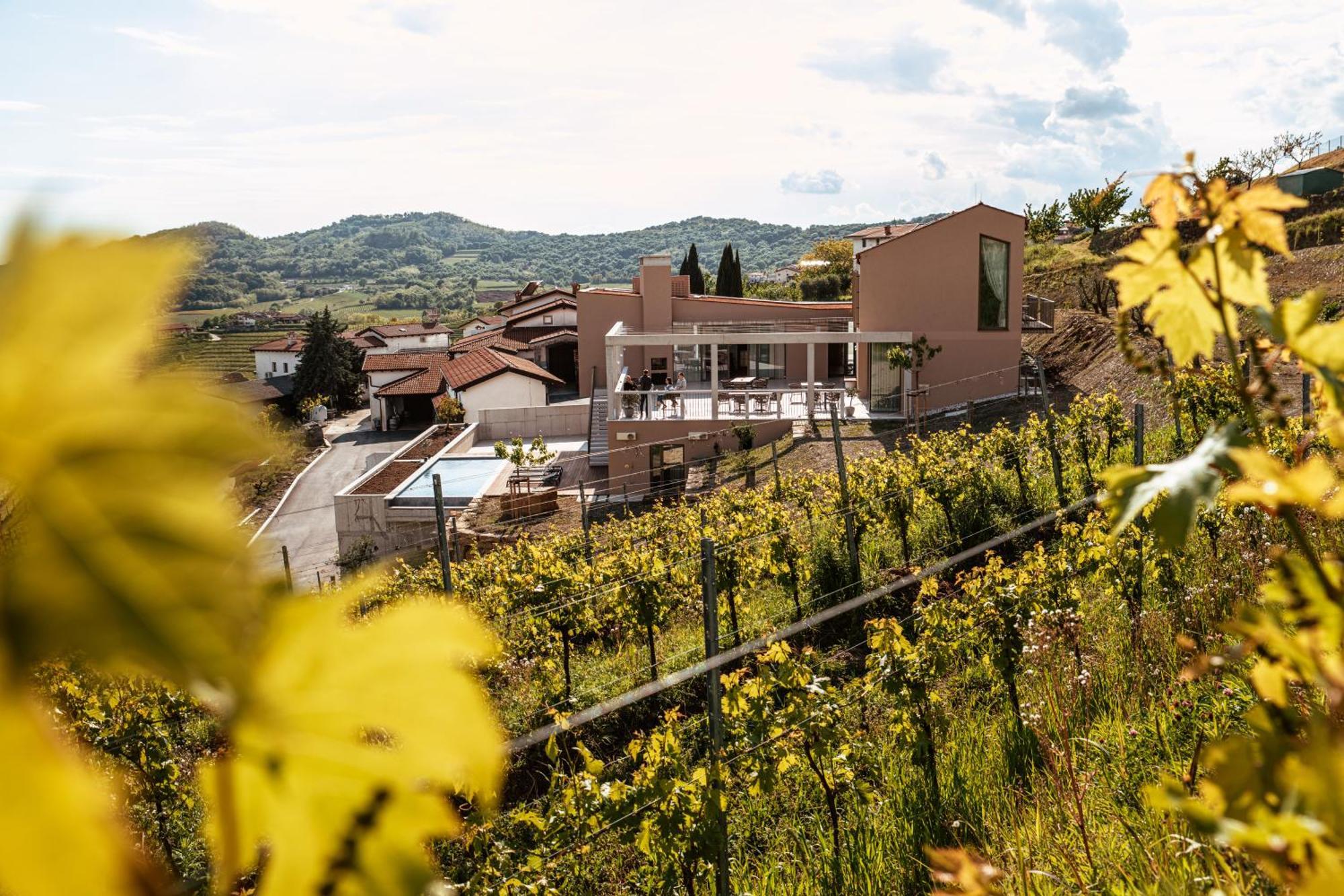 Posestvo Scurek Wine Acomodação com café da manhã Dobrovo Exterior foto