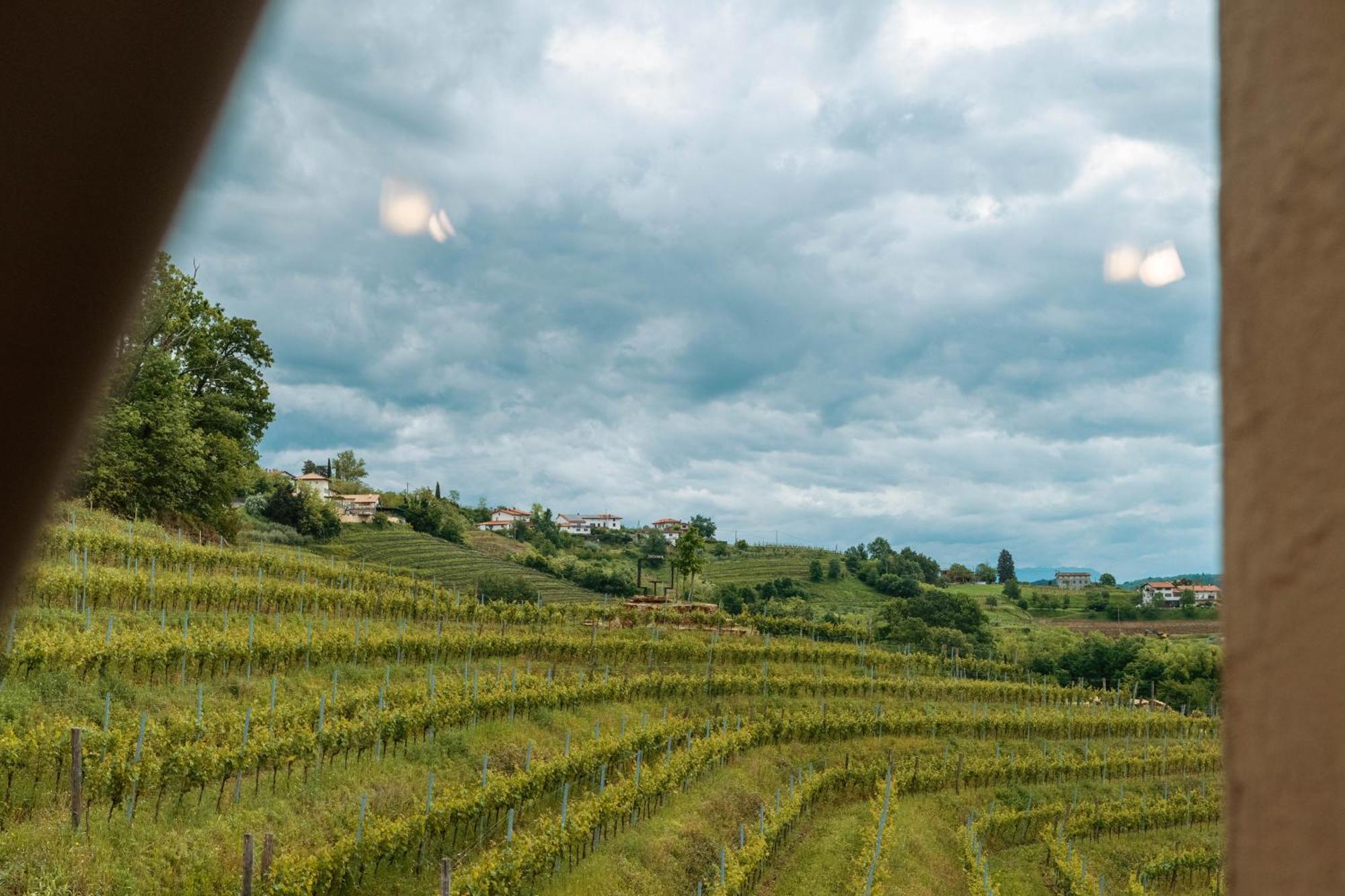 Posestvo Scurek Wine Acomodação com café da manhã Dobrovo Exterior foto